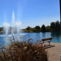 Discovering the Best Parks and Recreational Areas in Maricopa County, AZ