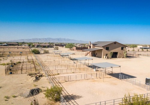 The Growing Equestrian Community in Maricopa County, AZ